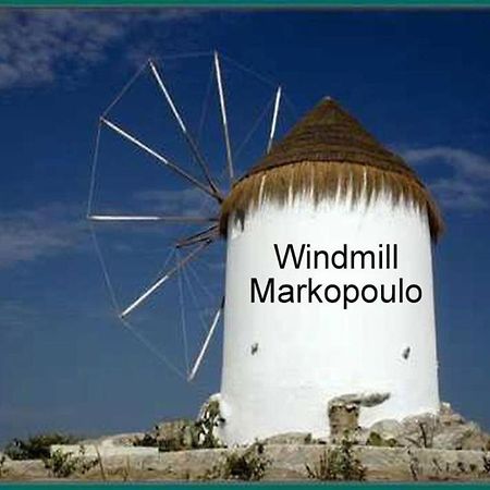 Markópoulon Athens 24-Hours Hostel #Athensairport #Latecheck-In #Privatetransportservice #Groups #Downtown מראה חיצוני תמונה